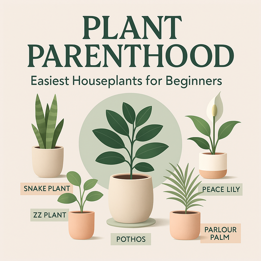 Plant Parenthood: Easiest Houseplants for Beginners