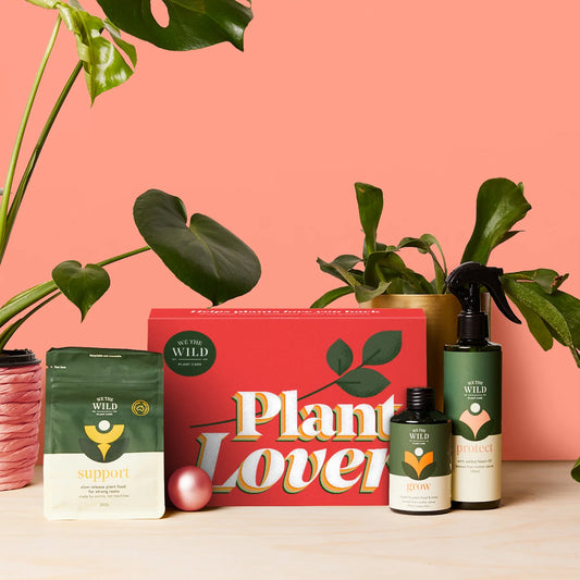 Plant Lover Essentials Kit