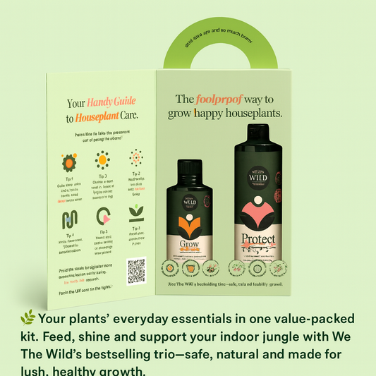 Essentials Value Kit