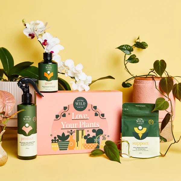 Love Your Plants Essential Kit