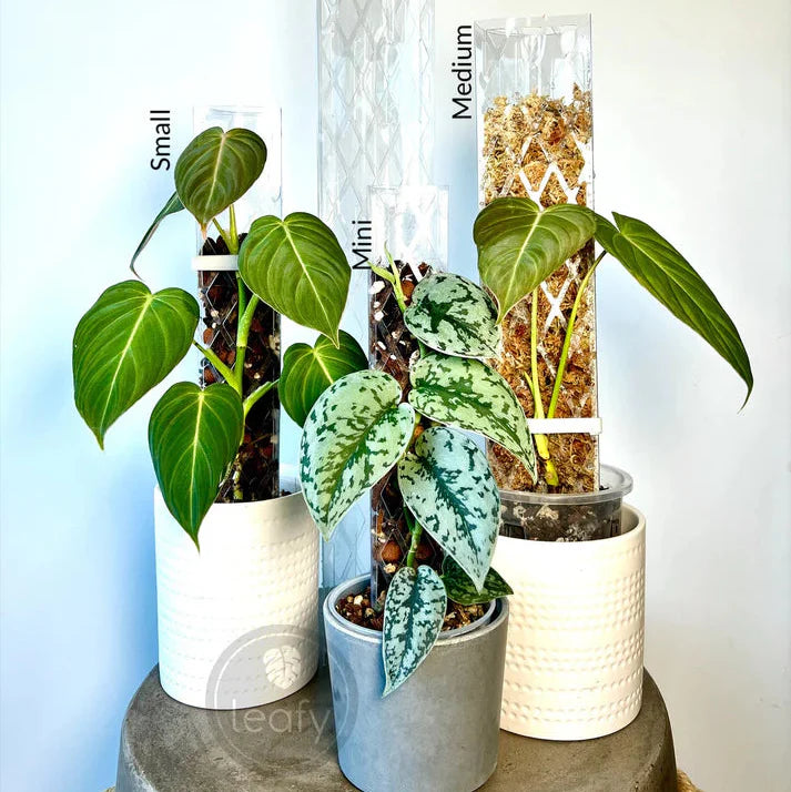 Moss Poles & Plant Support