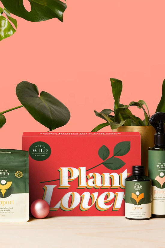 Plant Lover Essentials Kit