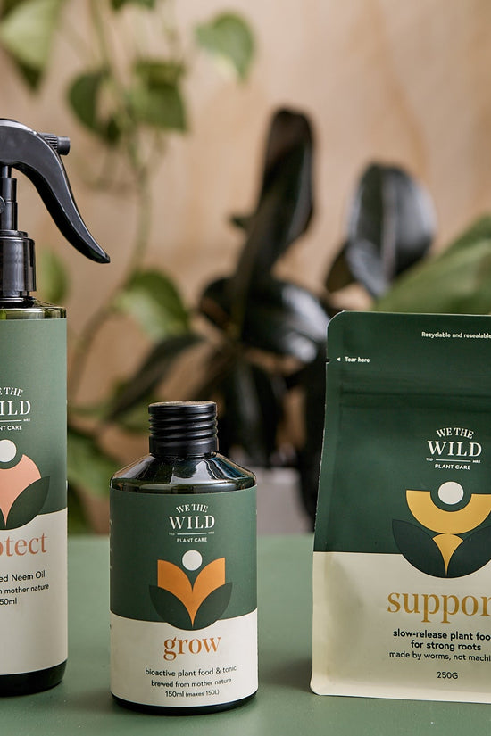 Houseplant Care Essentials Kit