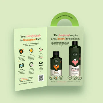 Essentials Value Kit