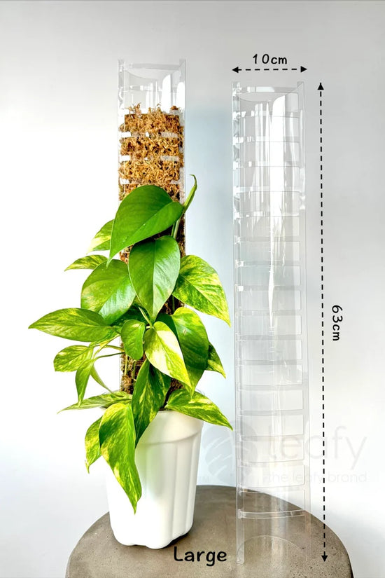 Leafy Moss Pole 3.0