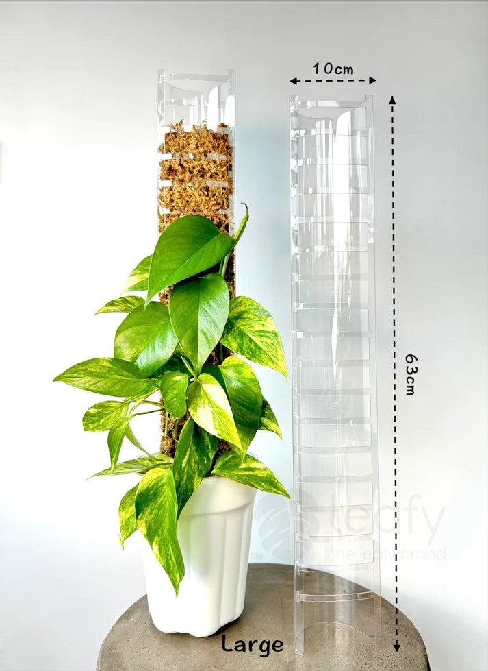 Leafy Moss Pole 3.0