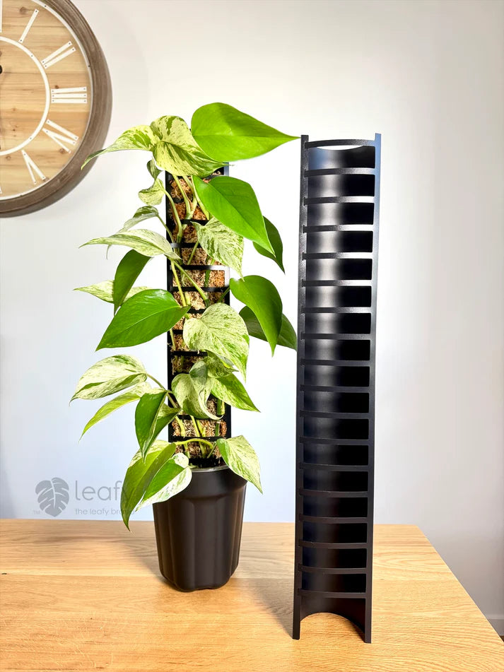 clear moss pole Leafy Moss Pole 3.0 (Clear) | Plant Support Accessory