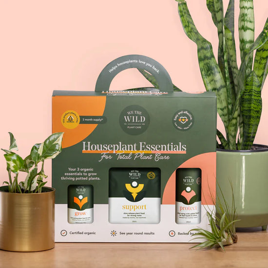 Houseplant Care Essentials Kit