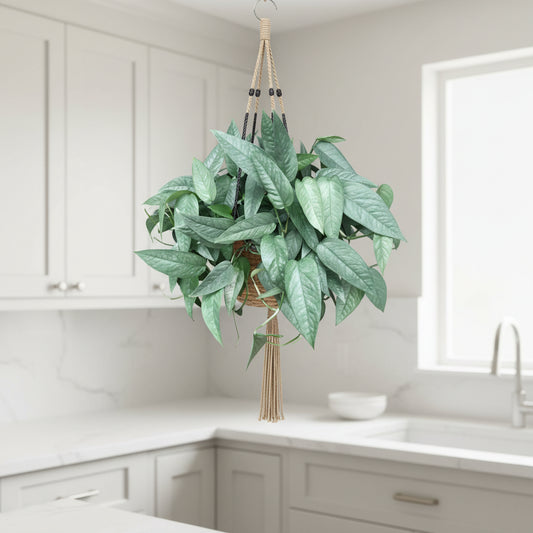 Hanging green plant with a neutral background