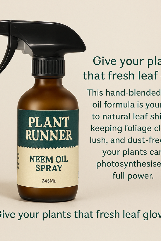 Neem Oil Leaf Shine