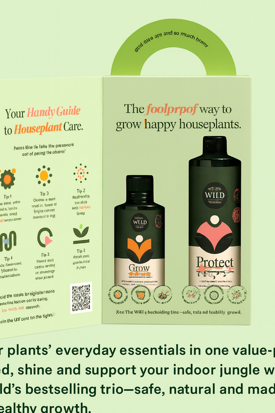 Essentials Value Kit