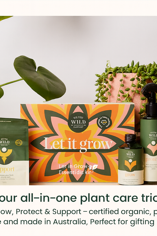 Let It Grow Essentials Kit