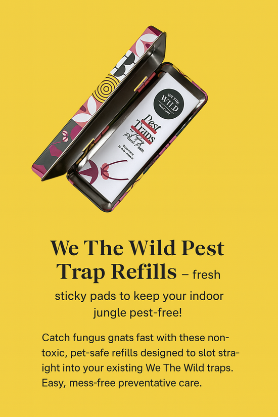 Pest Traps Refill