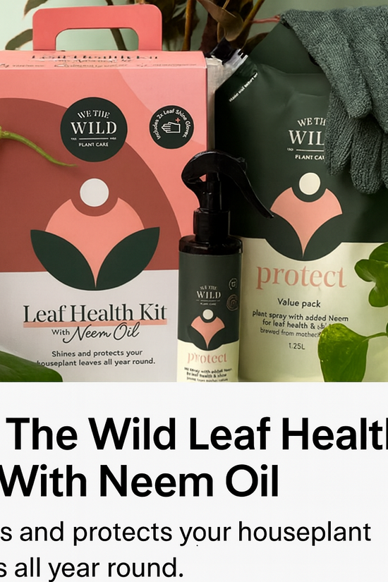 Leaf Health Kit