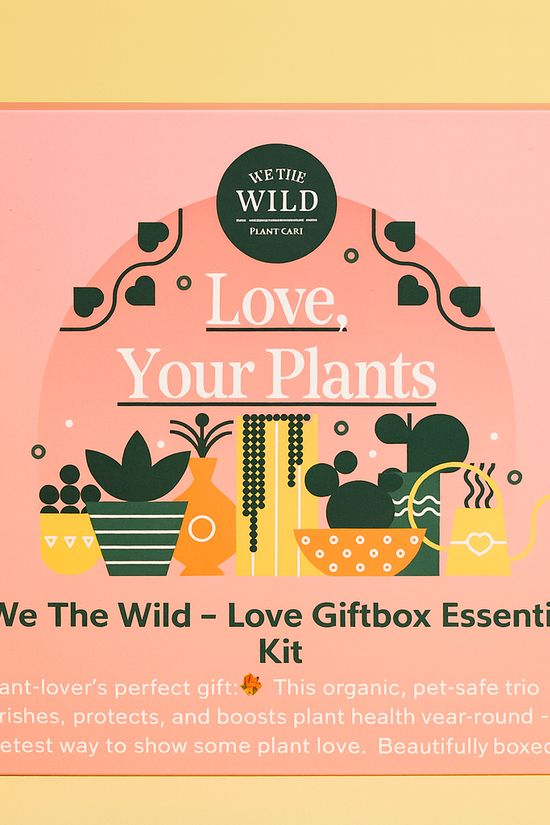 Love Giftbox Essential Kit