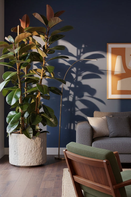 Living room with a potted plant and a beige sofa
