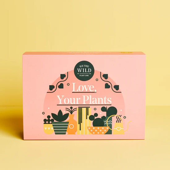 Love Giftbox Essential Kit