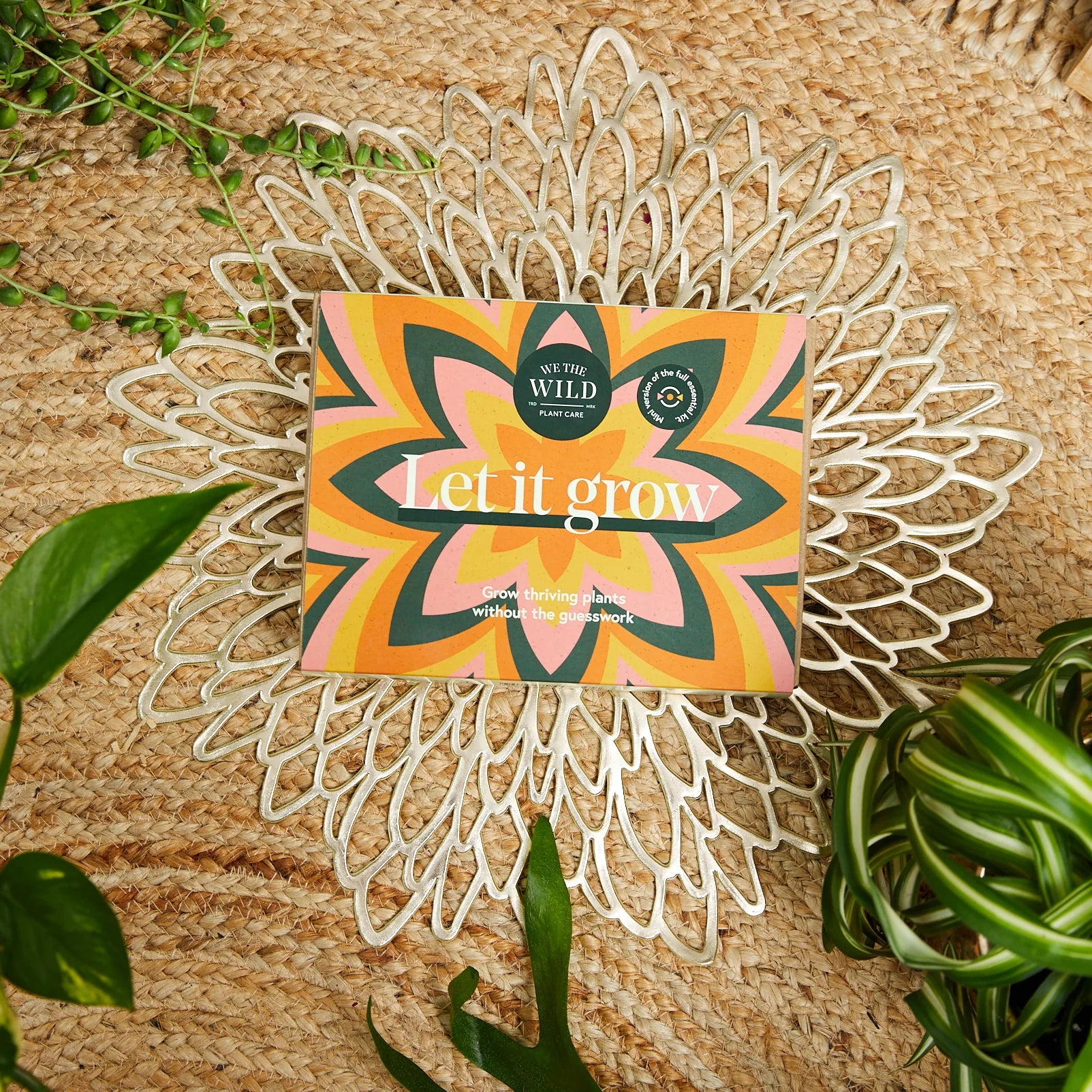 Let It Grow Essentials Kit