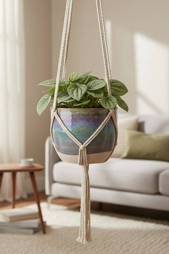 Hand holding a small potted plant with a pink background