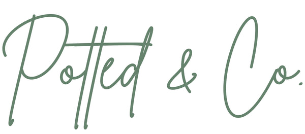 Potted & Co.