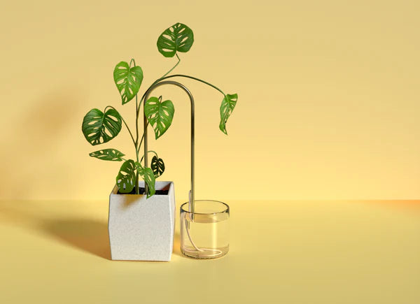 Self-Watering Plant Climber