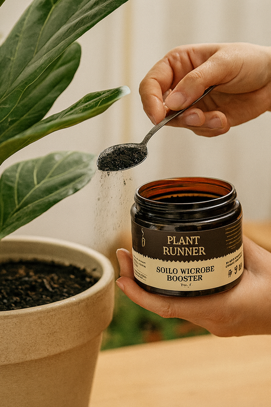 Person using a spoon to add a substance from a jar labeled 'Plant Runner' to a potted plant.