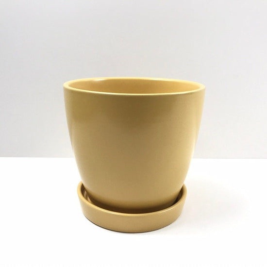 The Good Influence mustard yellow pot-and-saucer set with drainage, photographed on a clean white background.