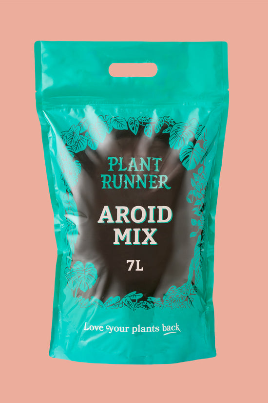 Aroid Mix 7 L
