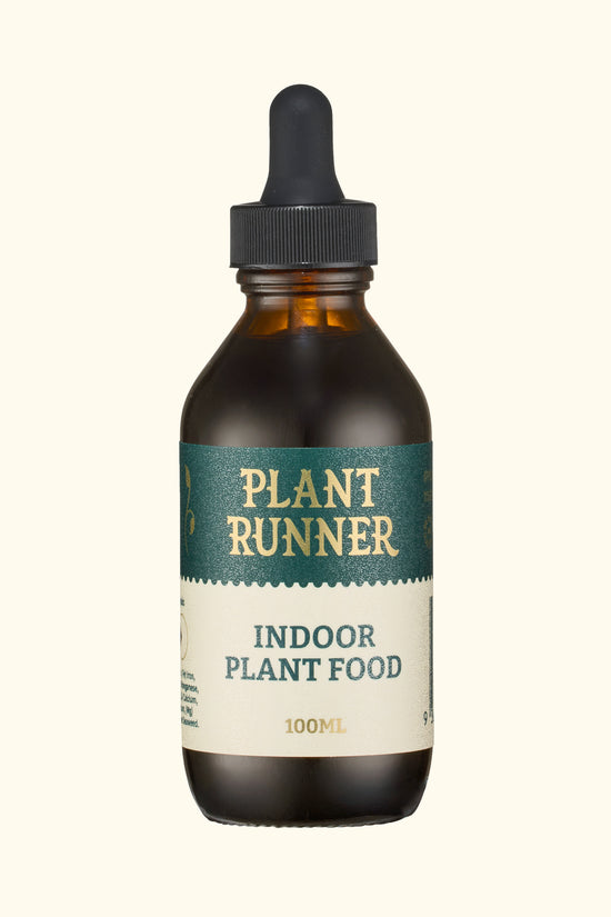 Indoor Plant Food