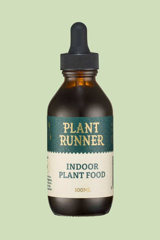 Indoor Plant Food