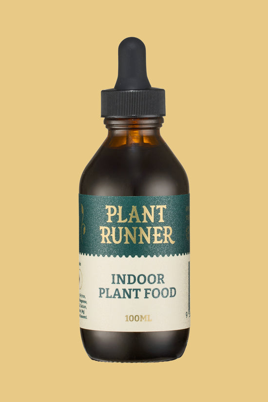 Indoor Plant Food