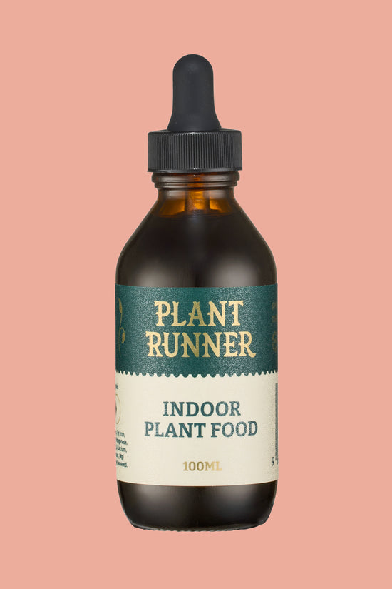 Indoor Plant Food