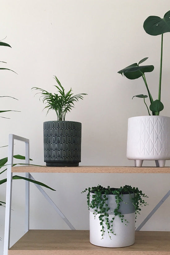 Interior shelf styling featuring multiple pots, including The Side Table Star, arranged with indoor plants.