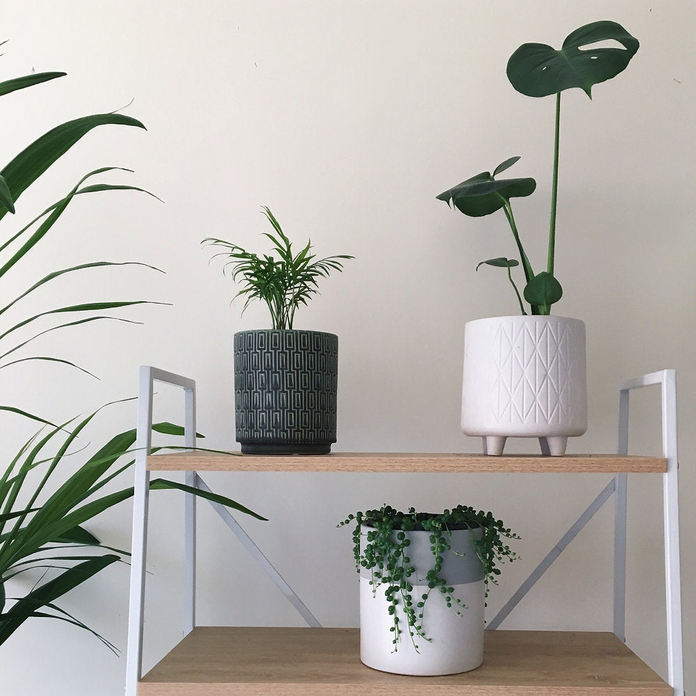 Interior shelf styling featuring multiple pots, including The Side Table Star, arranged with indoor plants.