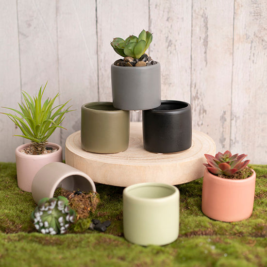 Comfy Fit planters in mixed sizes and colours displayed with indoor plants on a decorative shelf.