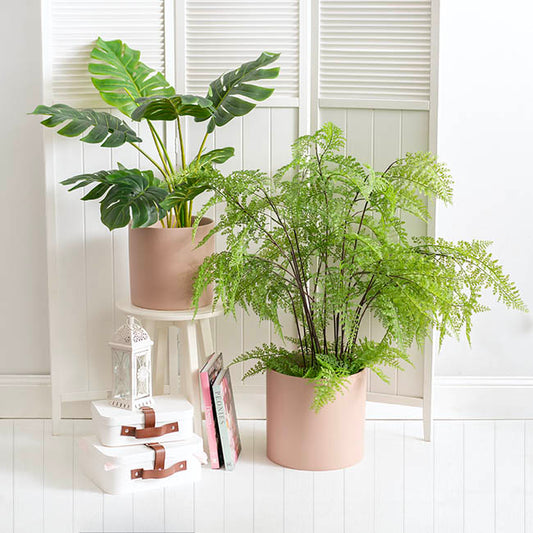 Comfy Fit satin-matte planter in a soft neutral tone, styled with a trailing indoor plant in a bright modern room.