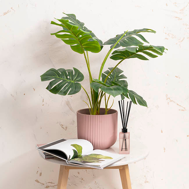 The Effortless Fit white matte planter with a leafy indoor plant, displayed on a wooden stool in a bright room.