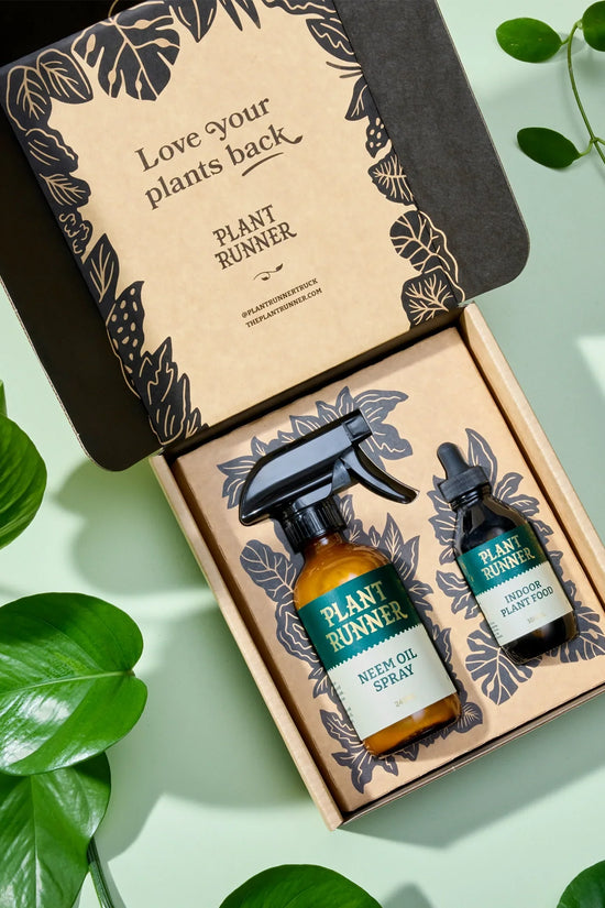 essentials for indoor plants The Plant Runner Plant Care Essentials Kit | Indoor Plant Care Trio