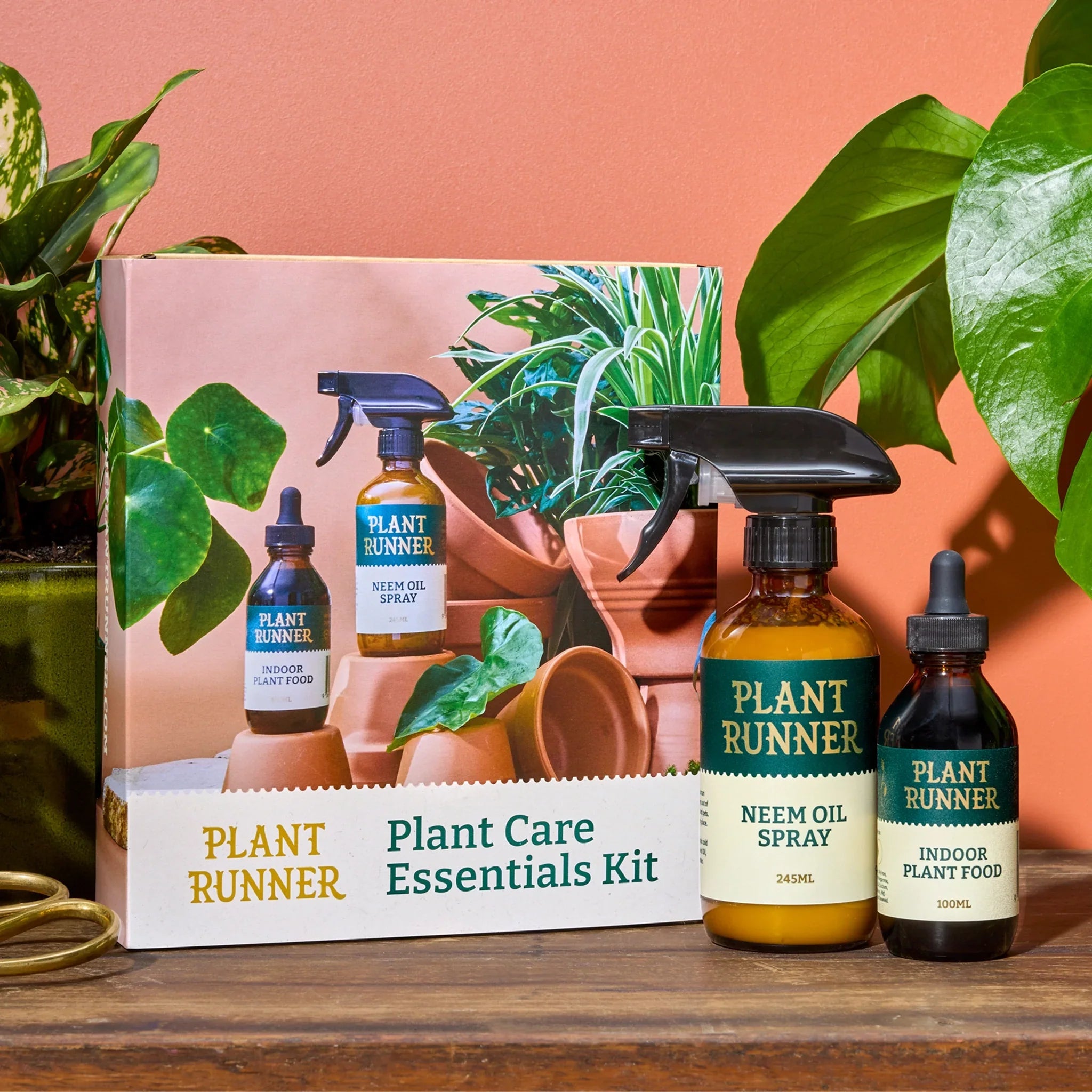 plant runner indoor plant food The Plant Runner Plant Care Essentials Kit | Indoor Plant Care Trio