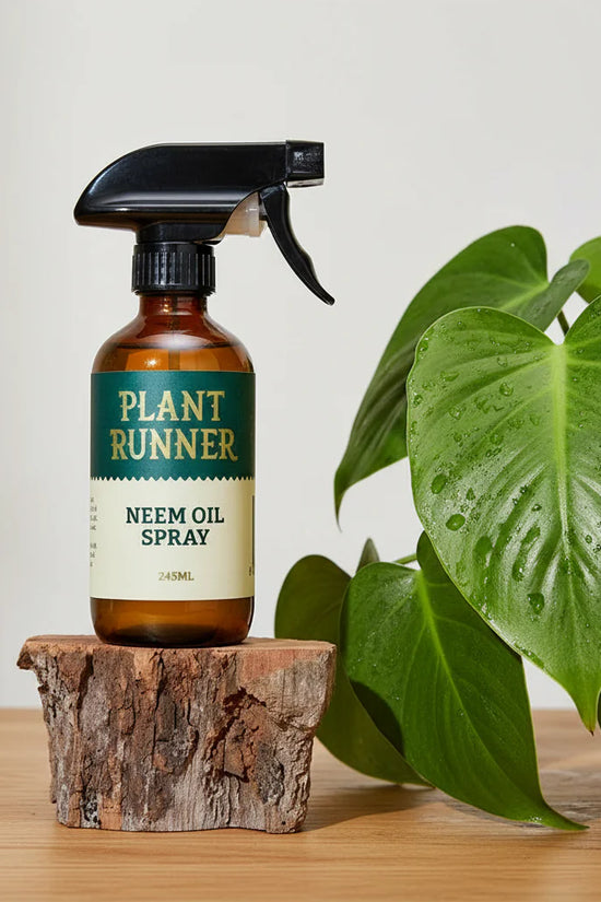 Plant Runner Neem Oil Spray bottle on a wooden block with plants in the background
