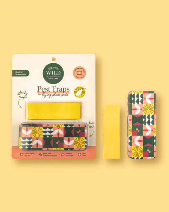 Compostable Gnat Traps