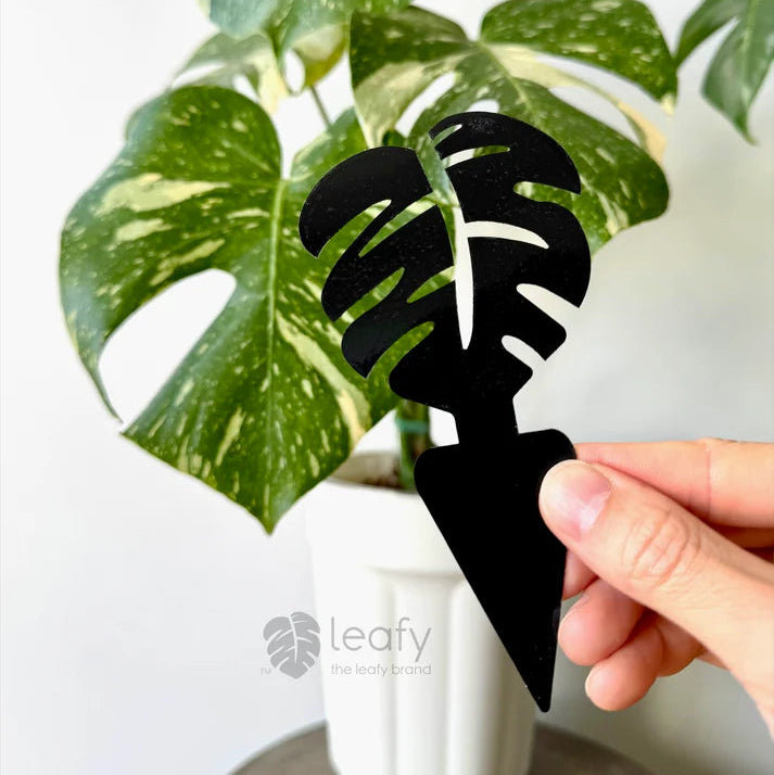 Black leaf-shaped plant marker held in front of a green monstera plant with a white pot.