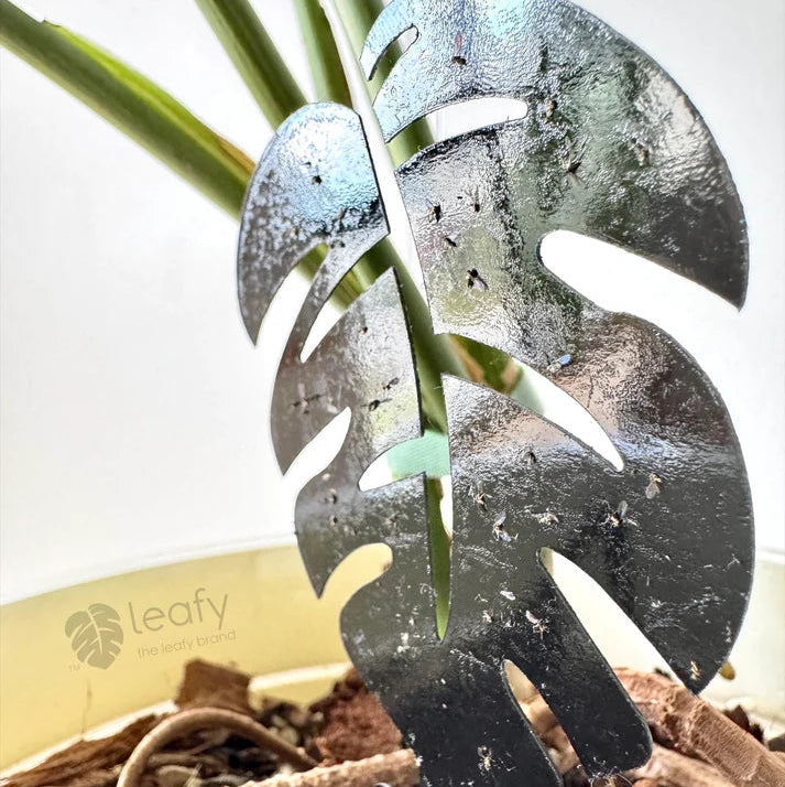Metal leaf-shaped plant support with a 'leafy' branded product in the background