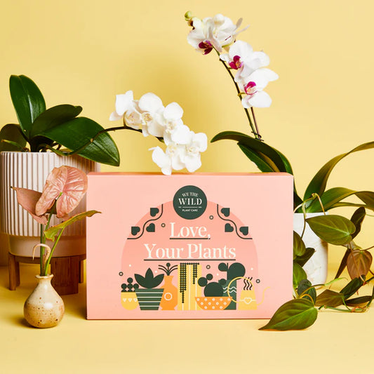 Love Your Plants Essential Kit