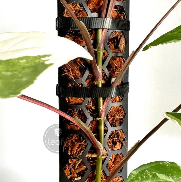 Decorative vase with plant stems and decorative elements on a white background